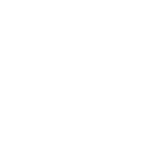 CtrlF2's emblem