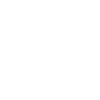 lipteix's emblem