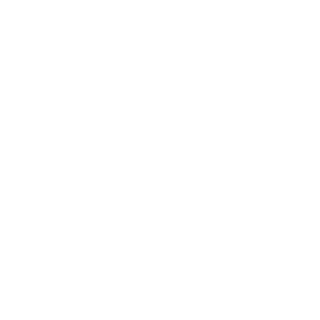 ZipBoom's emblem