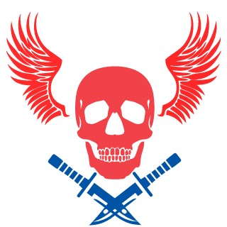 ybanbandeshuai's emblem