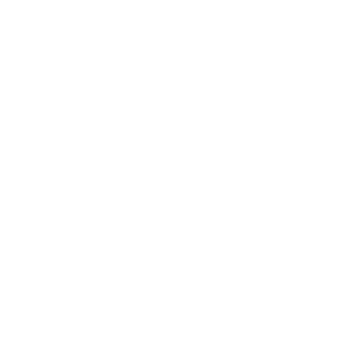 Toddi_0302's emblem