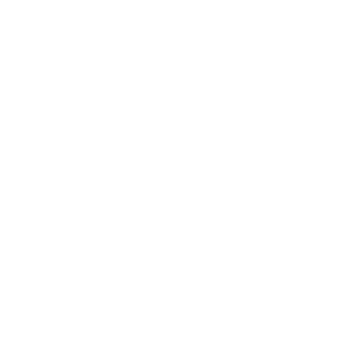 zimerpr's emblem