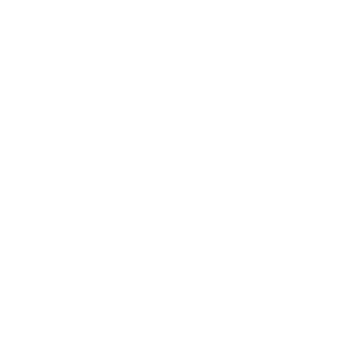 FlemmingSK's emblem
