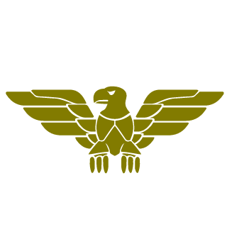 SmAiL6993's emblem