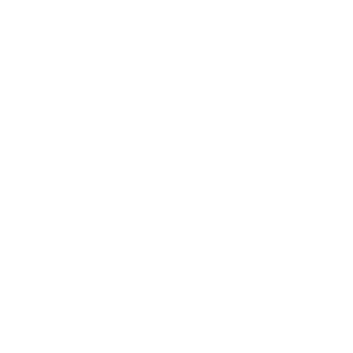 Rusted Ace2013's emblem