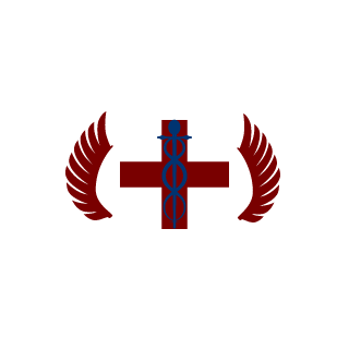 007streetfighter's emblem
