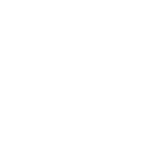 0CE1F4D0R's emblem