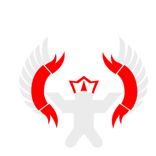 Rav9292's emblem
