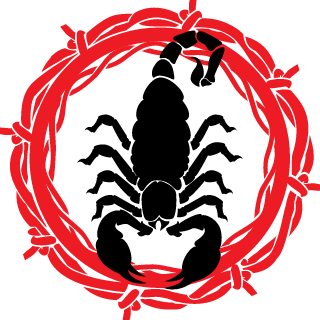 101illz's emblem