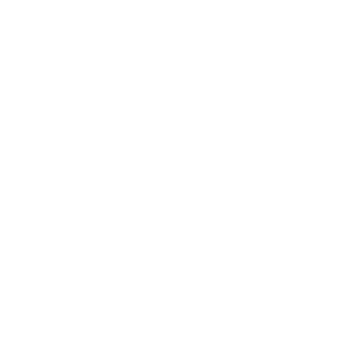 iamboy13's emblem