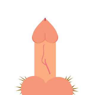 SpareSpork's emblem