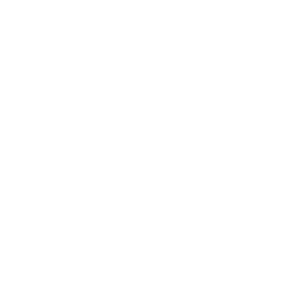 amermooon's emblem