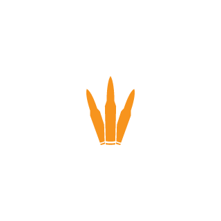 xXMaxiiKingXx's emblem