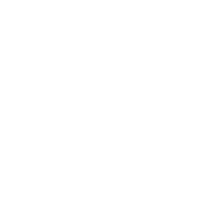 HELL FIGHTER's emblem