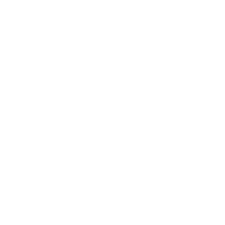 VrajeskoeLAV's emblem