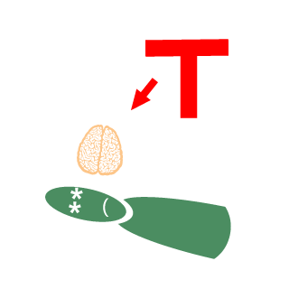 deathminion111's emblem