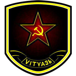 VITYAZ's emblem