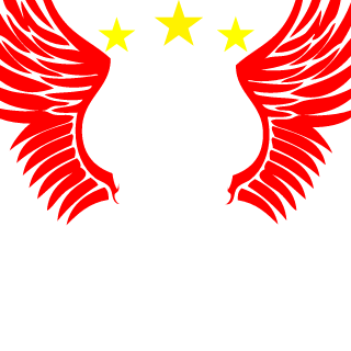 31AGGRESSOR31's emblem