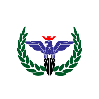 SyAnIdE DuDe's emblem