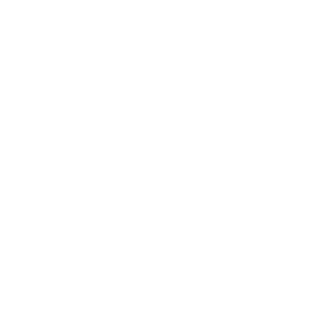 SumTinWomg's emblem
