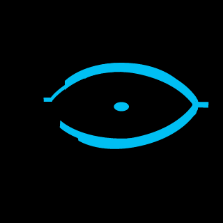 newtinfentry300's emblem