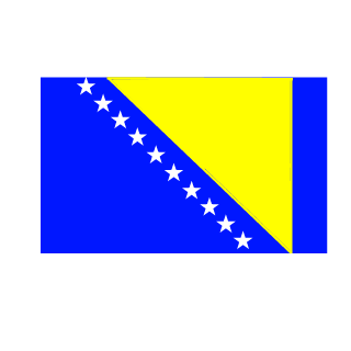 TonicThunder98's emblem