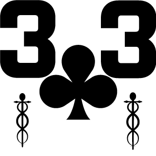 TimooRkA33rus's emblem