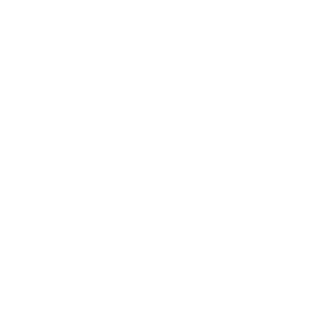 DZ0N3's emblem