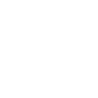 Bullet x AE's emblem