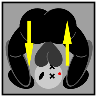 H0LD3N96's emblem