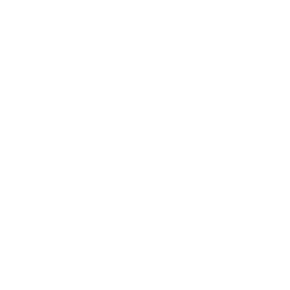 Fi3LD's emblem