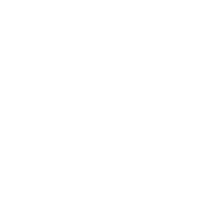 ThePhotoGen's emblem