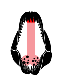 Puzooon's emblem