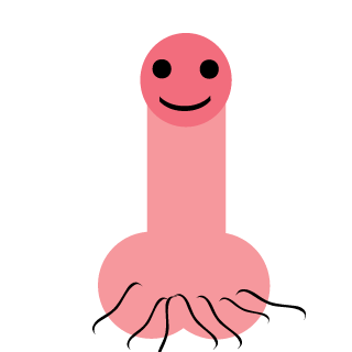DICK's emblem