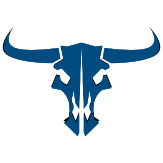 StarFoxHD's emblem