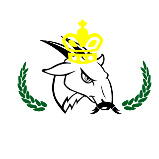 IronByron357's emblem