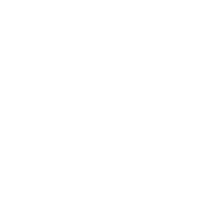 DivineVanguard's emblem