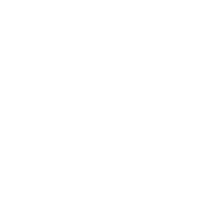 bg980's emblem