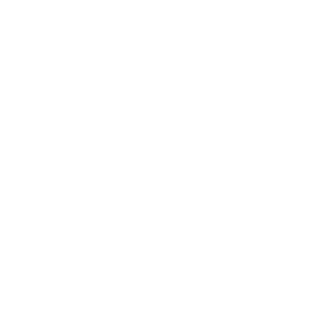 dbbd33112a80fb5b's emblem
