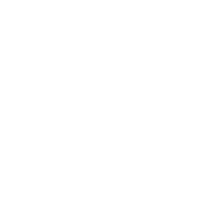 AlexSorssa's emblem