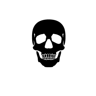 LeleoCFN's emblem