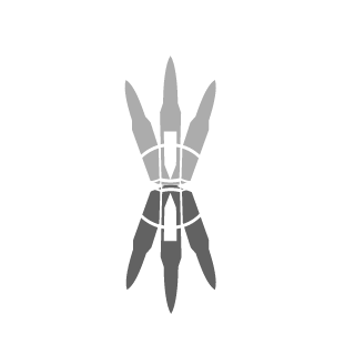 SilverToast5K's emblem