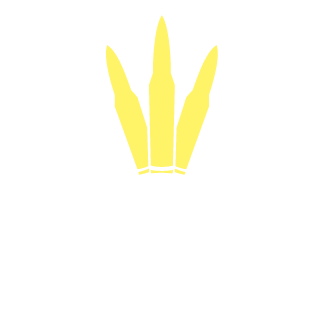 minhly01's emblem