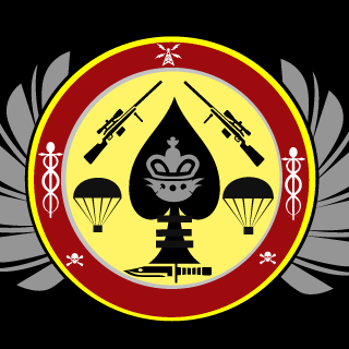 tomcat081's emblem