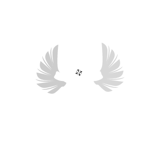 SolventBasher4's emblem