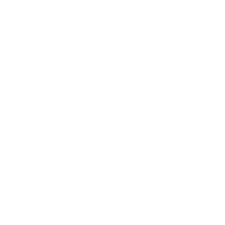 Rapiddragon7's emblem