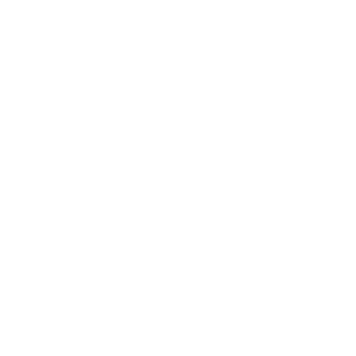 binou_th's emblem