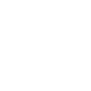 1SmAwSh1's emblem