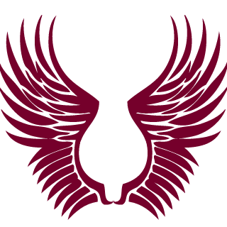 PauliuzLTU's emblem