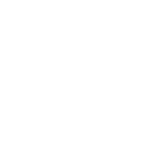 BiggieNations's emblem